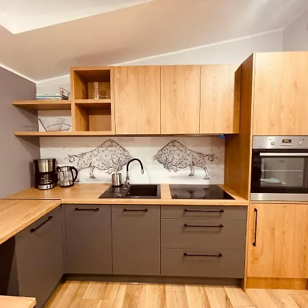 Ktw Kościuszki 41 - Sky&design Apartament *