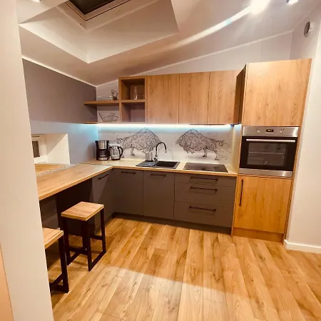 Ktw Kosciuszki 41 - Sky & Design דירה קטוביץ