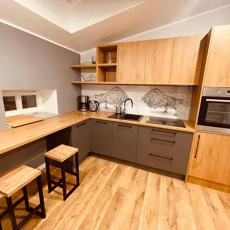 Ktw Kosciuszki 41 - Sky & Design קטוביץ