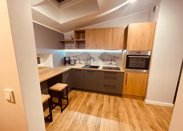 Ktw Kosciuszki 41 - Sky & Design דירה קטוביץ