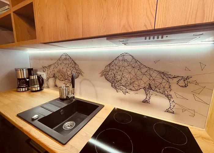 דירה Ktw Kosciuszki 41 - Sky & Design *